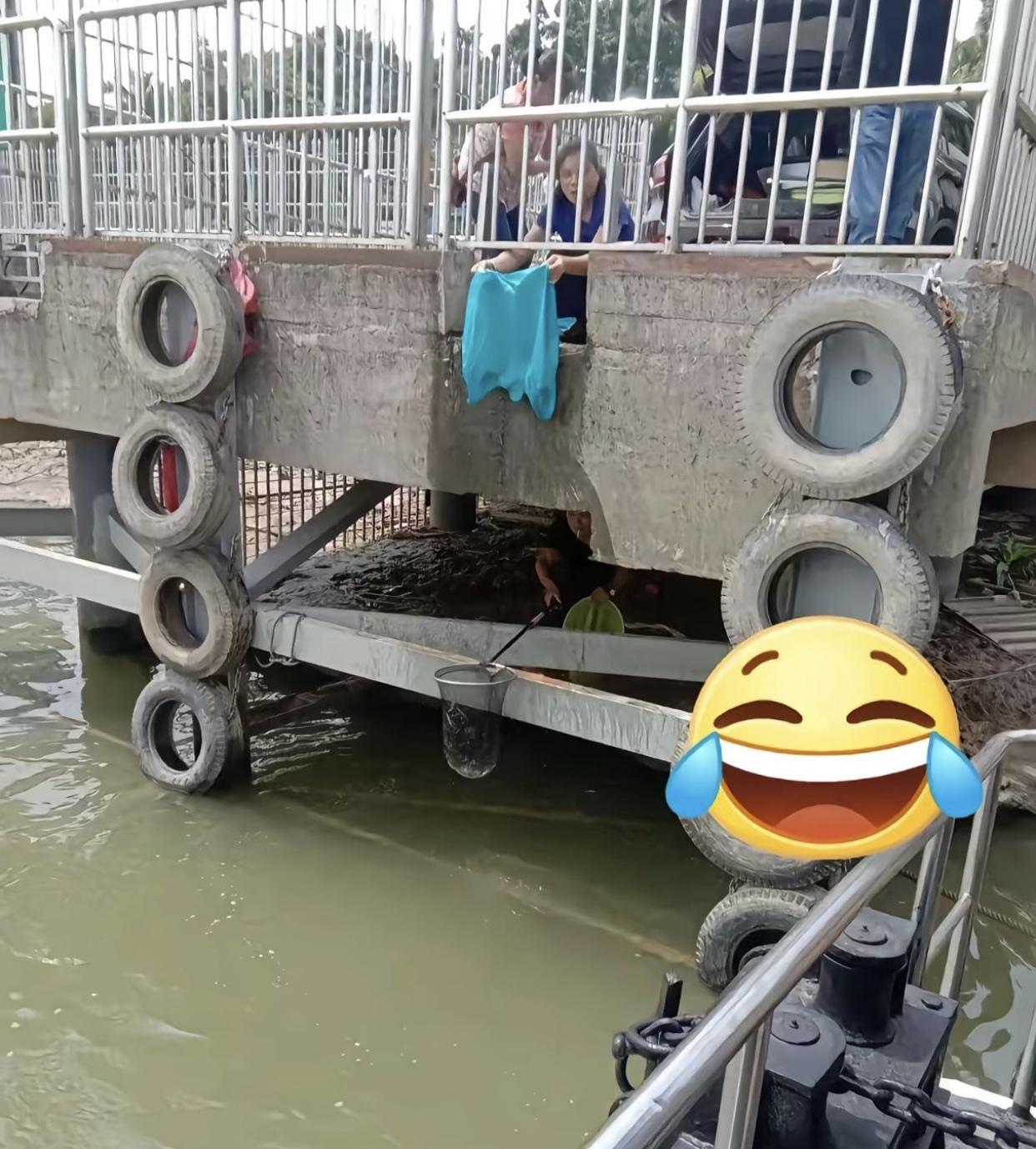 放生、救生，自动循环，双方都满意！