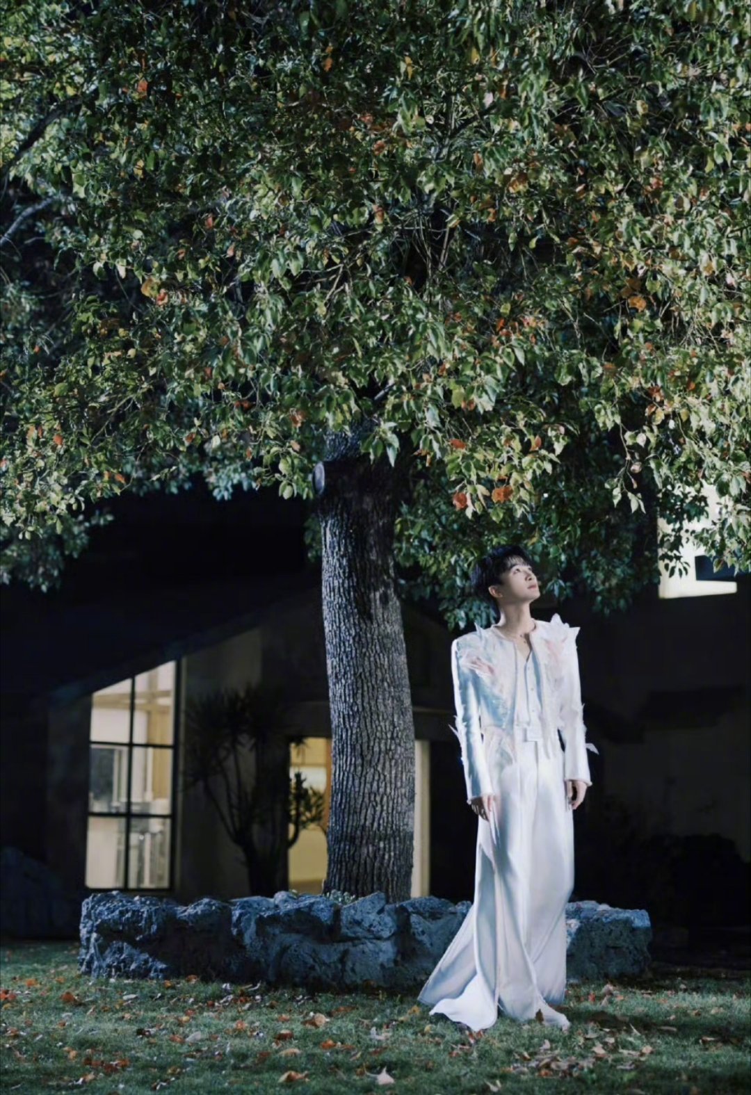 周深樱花树下站谁都好看谁懂啊！深深这组出发图直接美到心巴上了🌿傍晚的风、温柔光