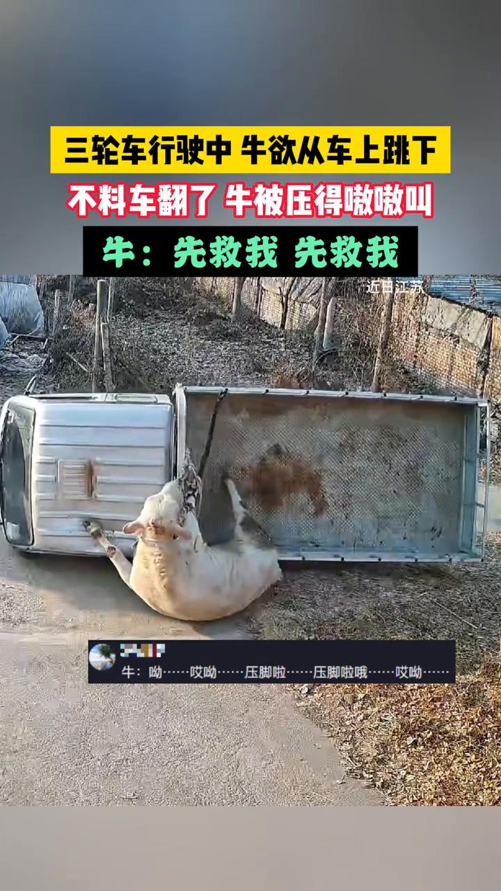 救救我。