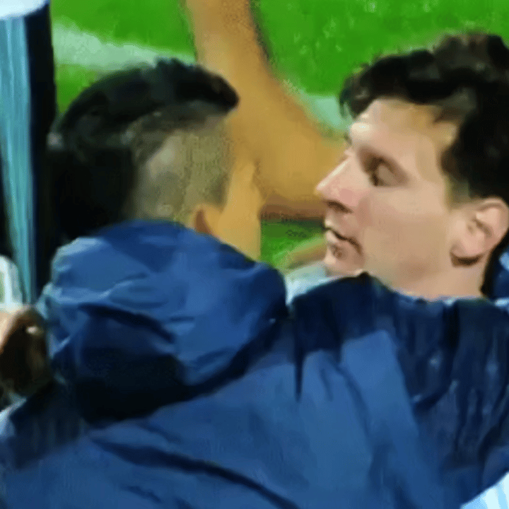 小动物互蹭脑袋 