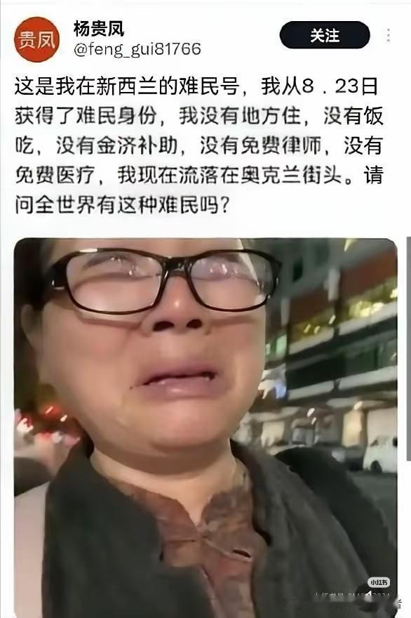 本来在深圳有一套房，日子过的舒适安心，非要听别人忽悠润去了新西兰，最后成难民了。