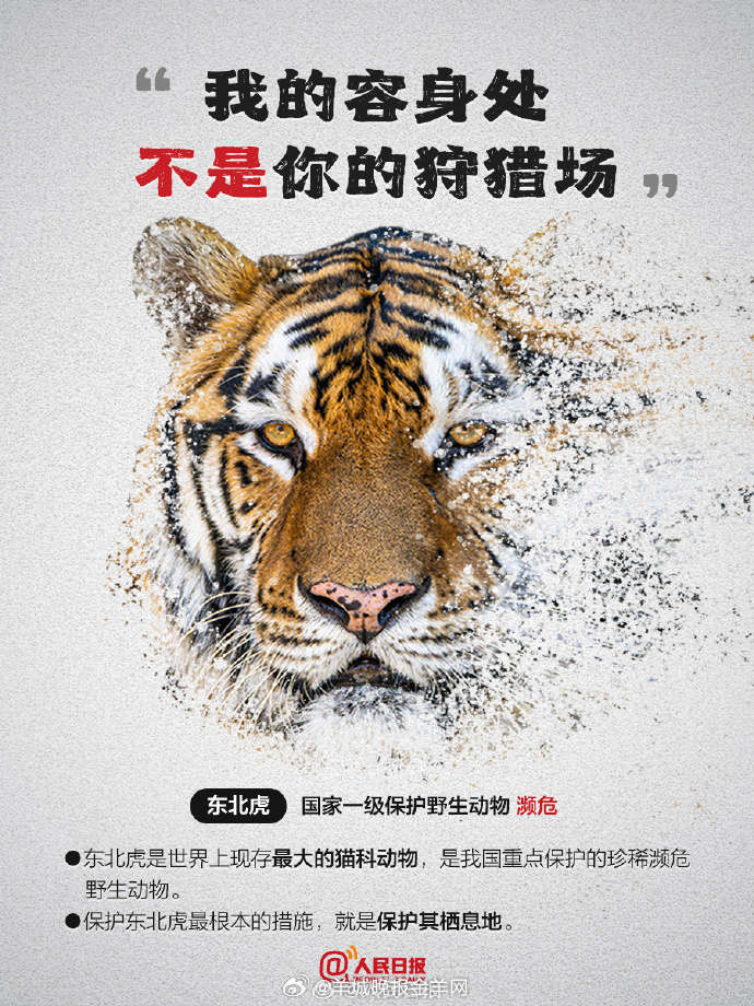 【今天，为它们发条微博！#别让珍稀动物成为消失的它#】#因为珍稀所以更珍惜# “