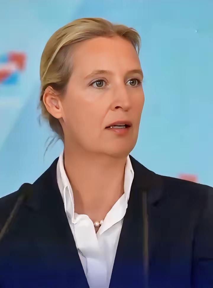 真是打脸！10月7日，“德国选择党”主席魏德尔，在联邦议会表示，既然默茨总理想打