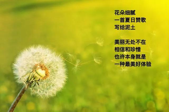 给花朵微风
给微风飞鸟翅膀
石头温热
草叶上阳光
·
一匹马哒哒蹄声
穿过青石小