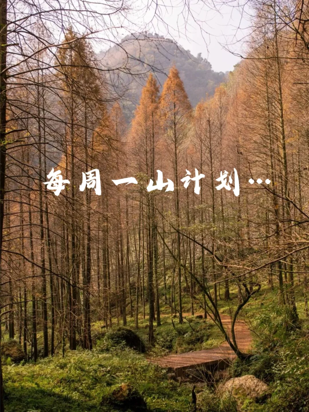 全部免费！成都1h直达，亲子徒步山脊线天花板