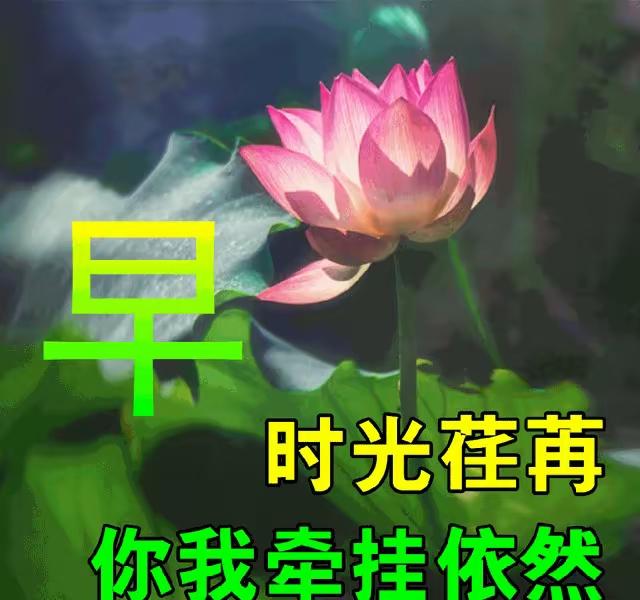 南浦诗联微信群交流录50
  
作者：陈克志
 喷子

不是丹青手，亦非书法家。
