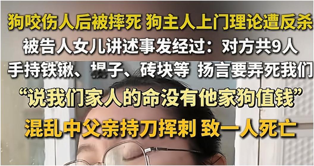 狗咬伤人后被摔死狗主人上门理论遭反杀。
被告人女儿讲述事发经过：对方共9人，手持