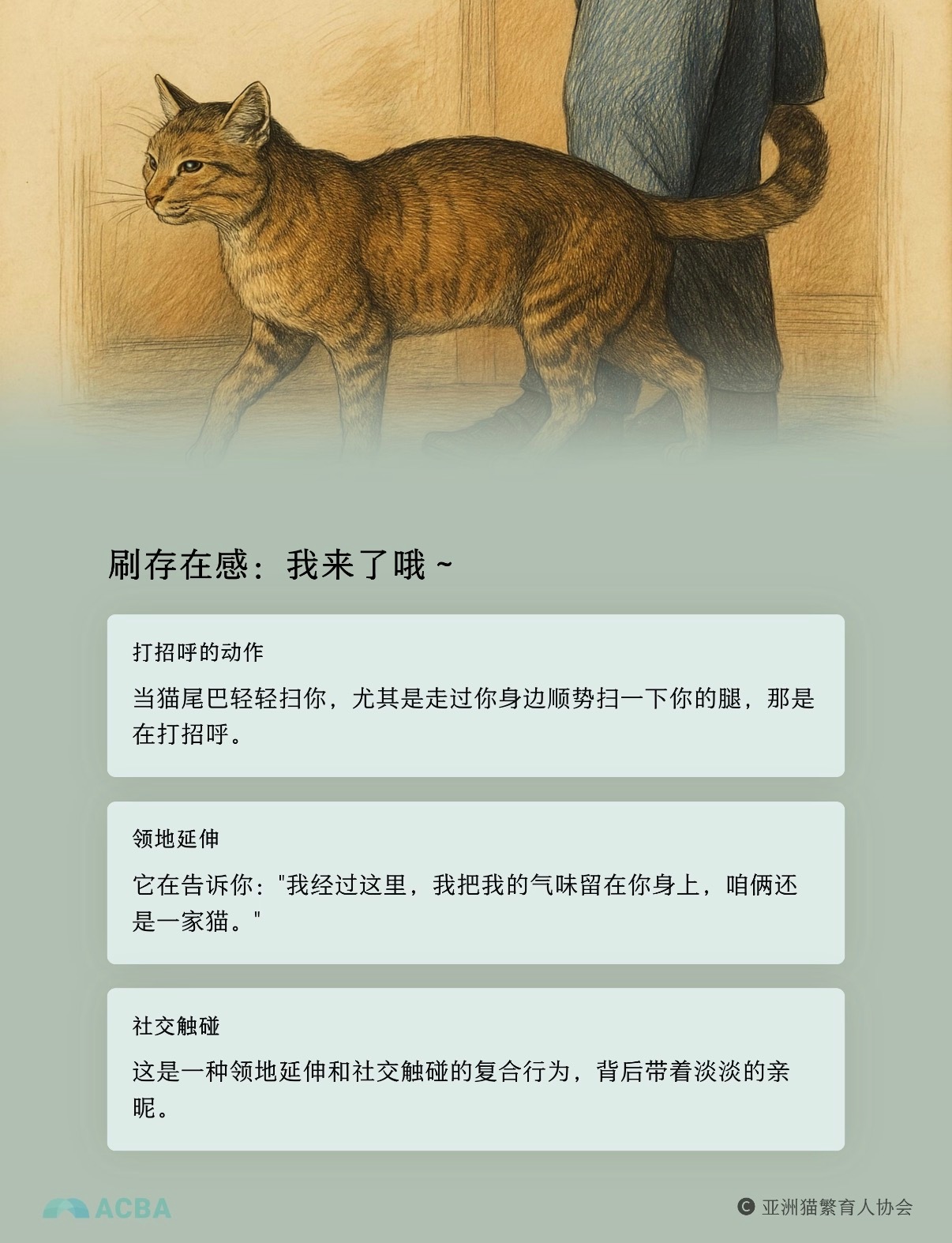 我来了哦～ 
