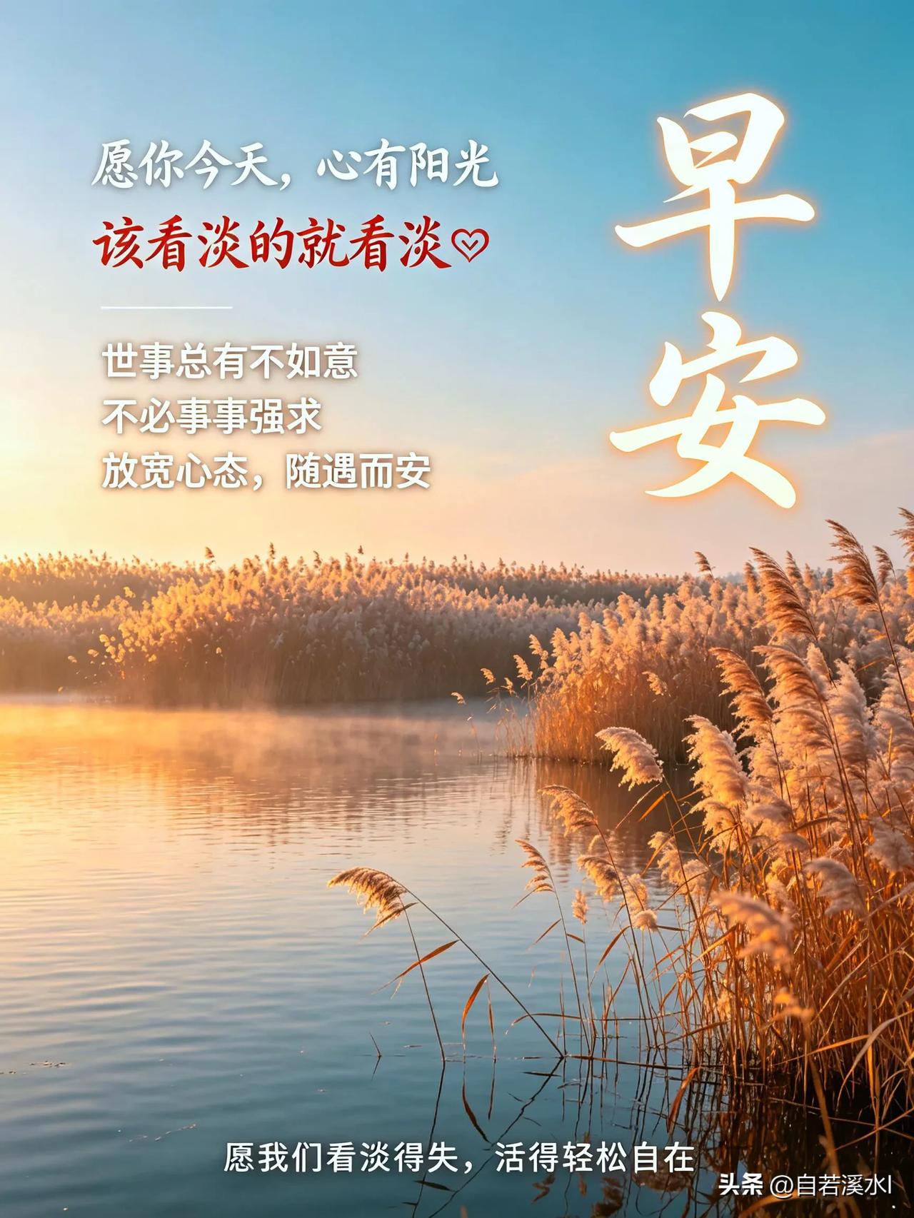 晨光映芦苇，静水伴清风。
心藏暖阳，看淡得失，随遇而安。早安！