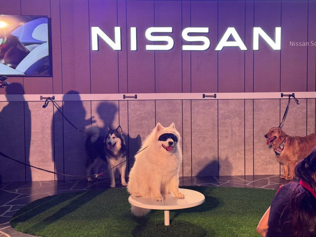 东风日产NX8定档4月8日上市墨镜一戴，谁都不爱！帅到需要墨镜来遮挡光芒。别问为