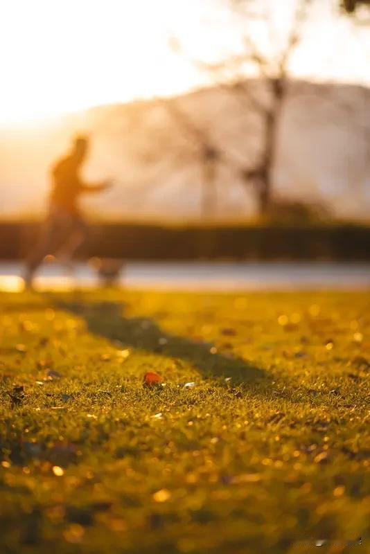 春日晨练打卡 春日晨练跑步，那可是唤醒身体的绝佳方式。但很多人方法不对，像天不亮