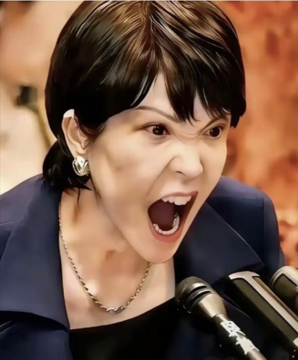 台积电董事长魏哲家已通知日本政府，表示台积电在日本的熊本二厂，不搞之前说的那些成