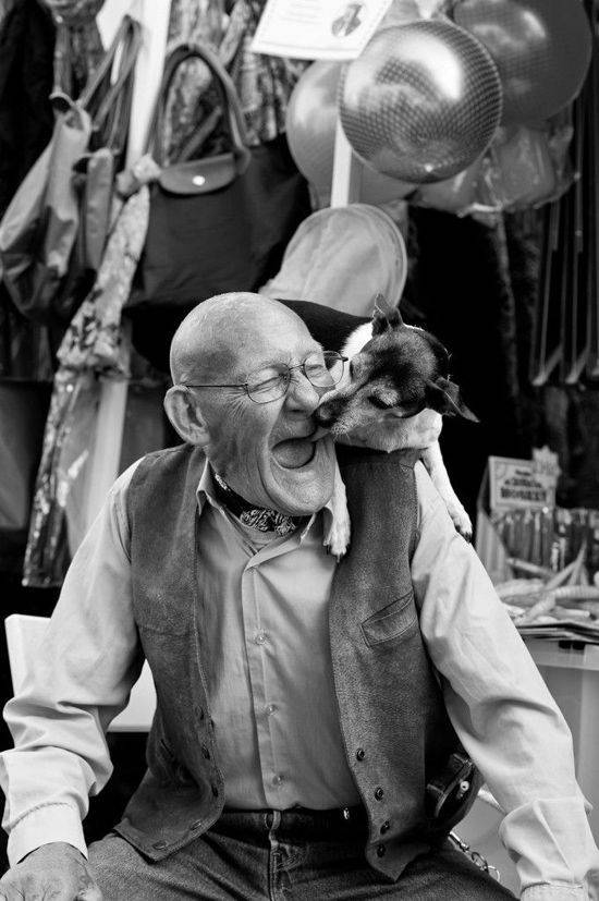 真正的释怀是一种什么样的感觉？真正的释怀应该是一种允许，送上一首我非常喜欢的小诗