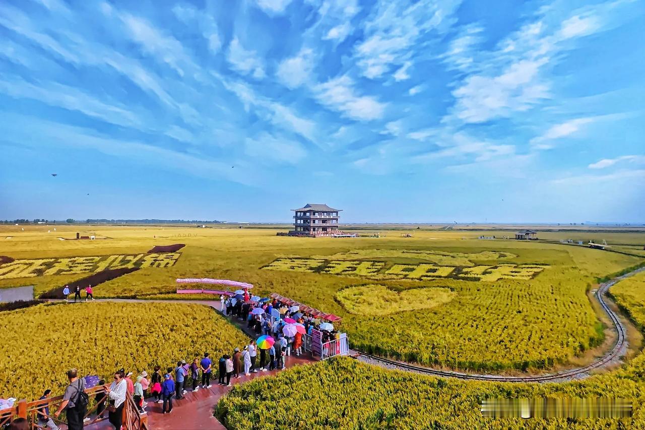 盘锦红海滩，又到了一年最美的时候！尤其是稻田风光很美#稻田风光# #秋日生活打卡