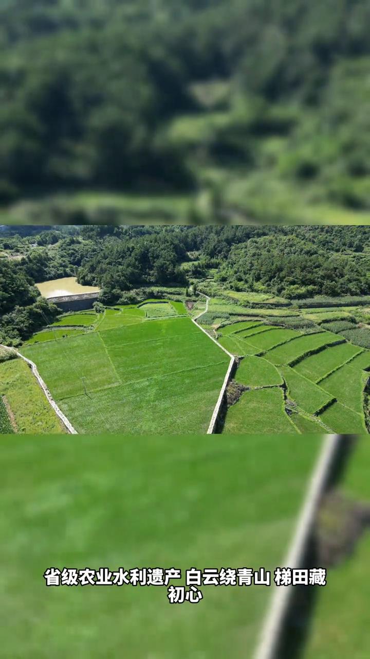 邵阳邵东市斫曹乡野鸡坪省级农业水利遗产。
白云绕青山，梯田藏初心。昔日徒手开山造