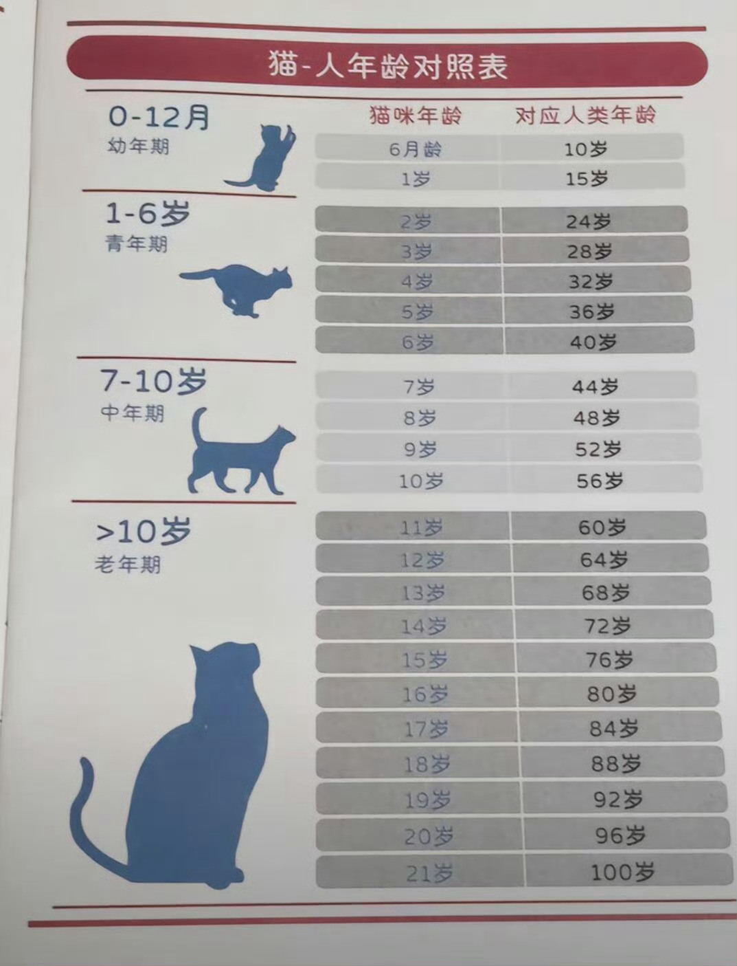 我的猫明年就赶上我的年龄我的妈呀，照这个年龄表，阿胖80多岁了。。。