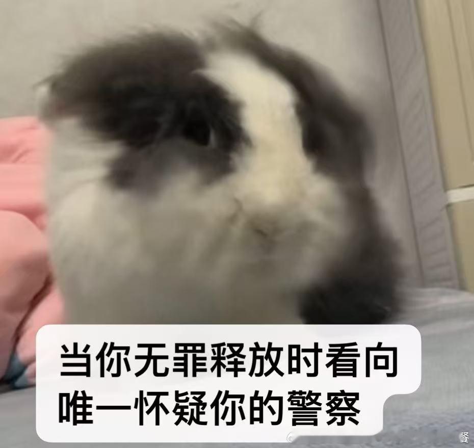 13604🐇【肥】真正的老戏骨 