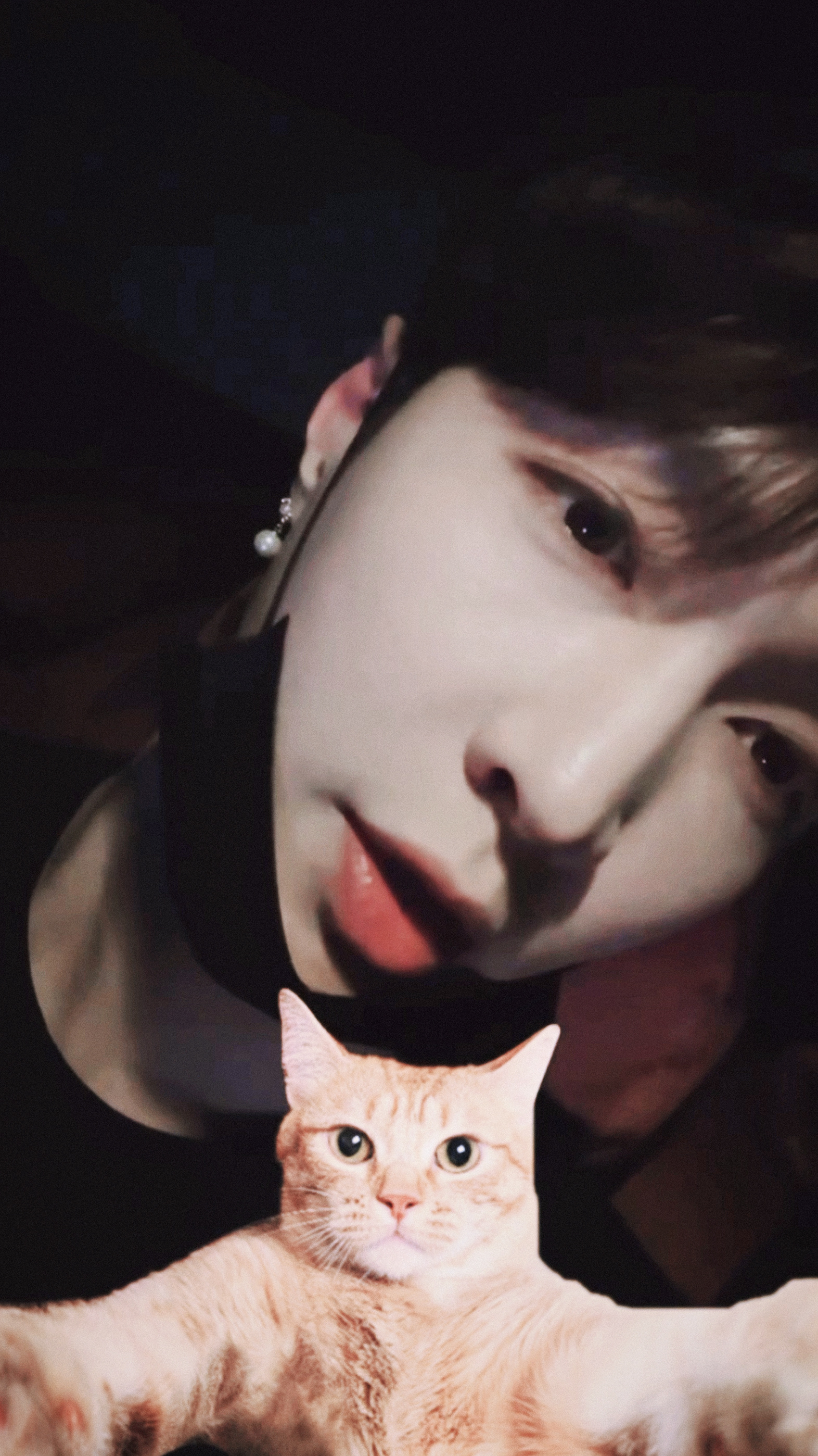 find my love 🐈 