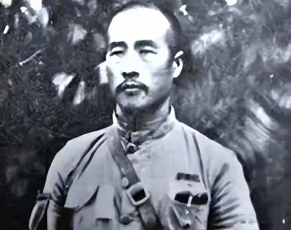 蒋介石决定处理韩复榘前，专门询问了冯玉祥的看法，冯玉祥直接说：我要是有那个权力早