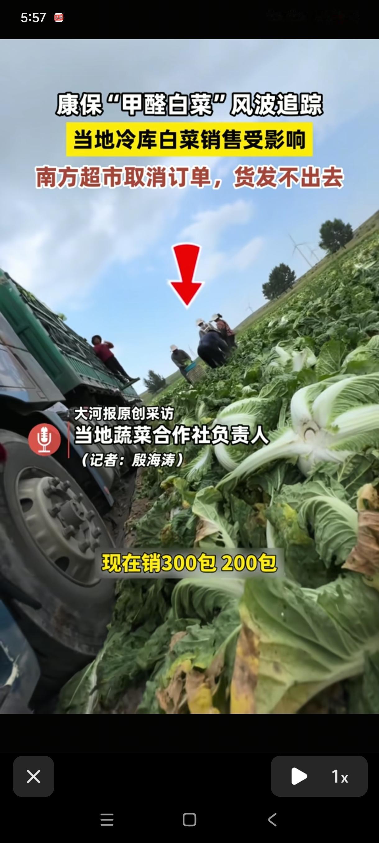 报应来了，甲醛的白菜，现在已经发不出货了。以前每天基本上一天1500包白菜。现在