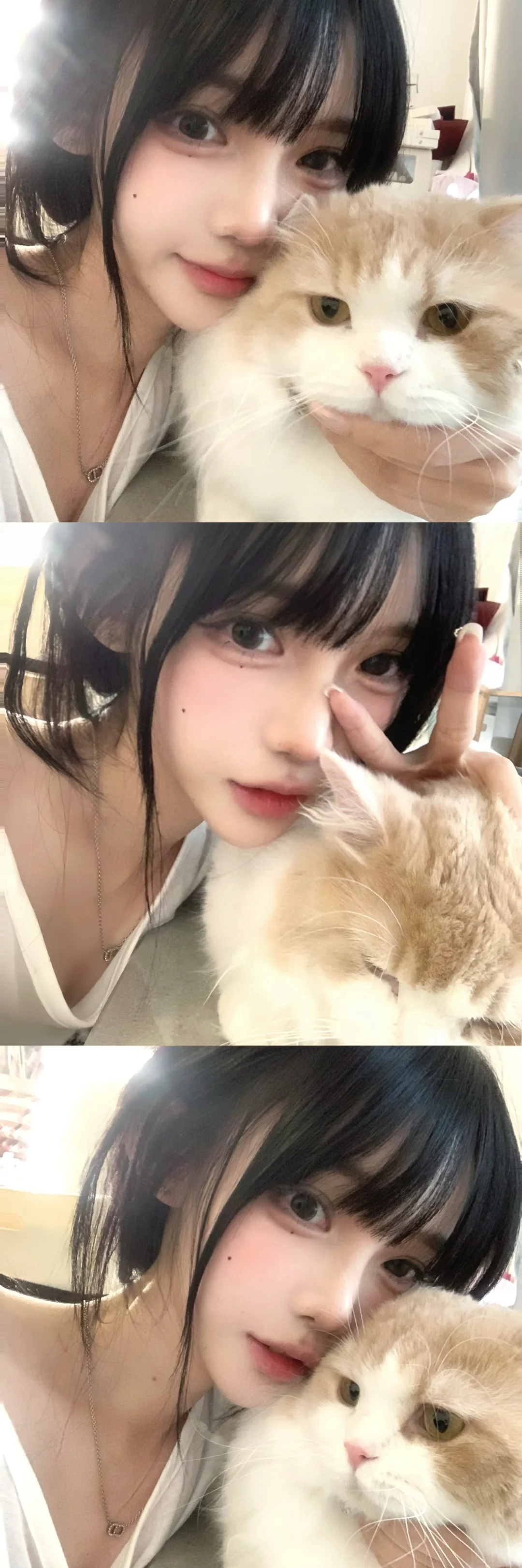爱我的小猫᳐ ੭