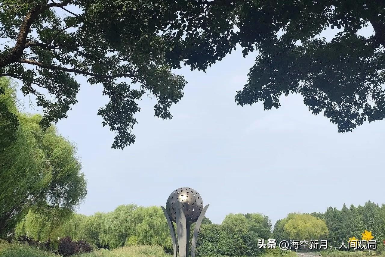 这段日子，因家中琐事，我的心情一直焦虑难安。
抱着试一试的想法拨打了12345，