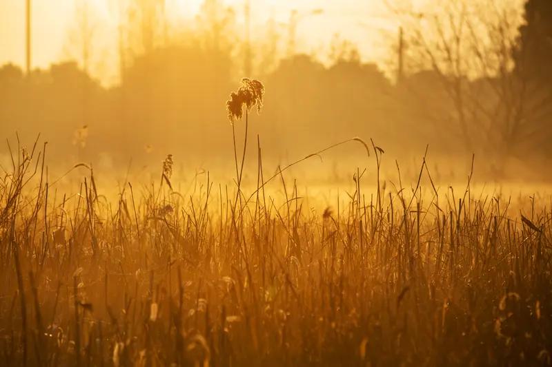 冬日生活打卡季 
今日立冬，冬日生活打卡开启！南方的冬天很有特色。不像北方冰天雪