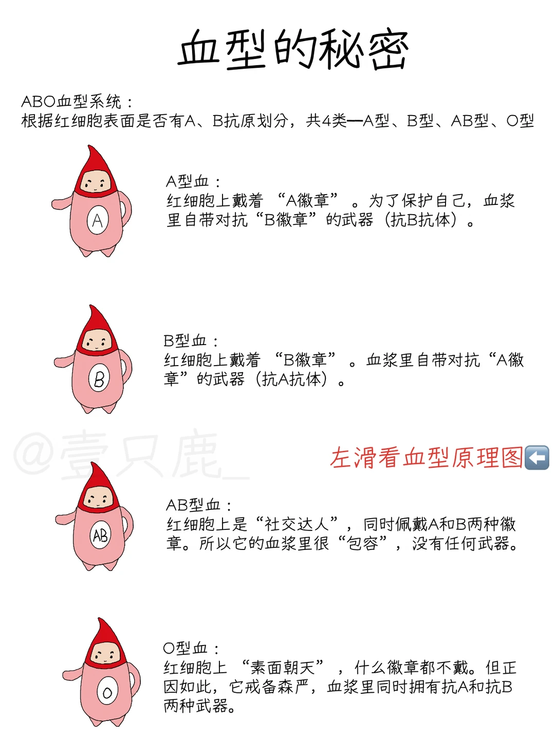 一分钟带你揭秘你的血型密码