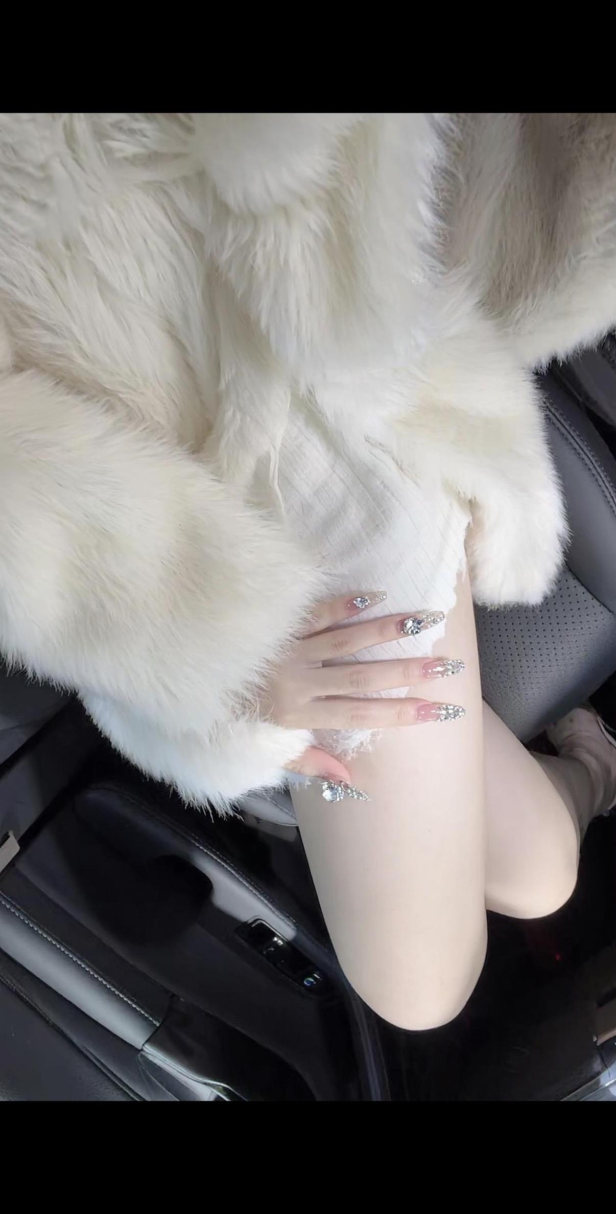 AI皮草美甲照 随变ai随便玩