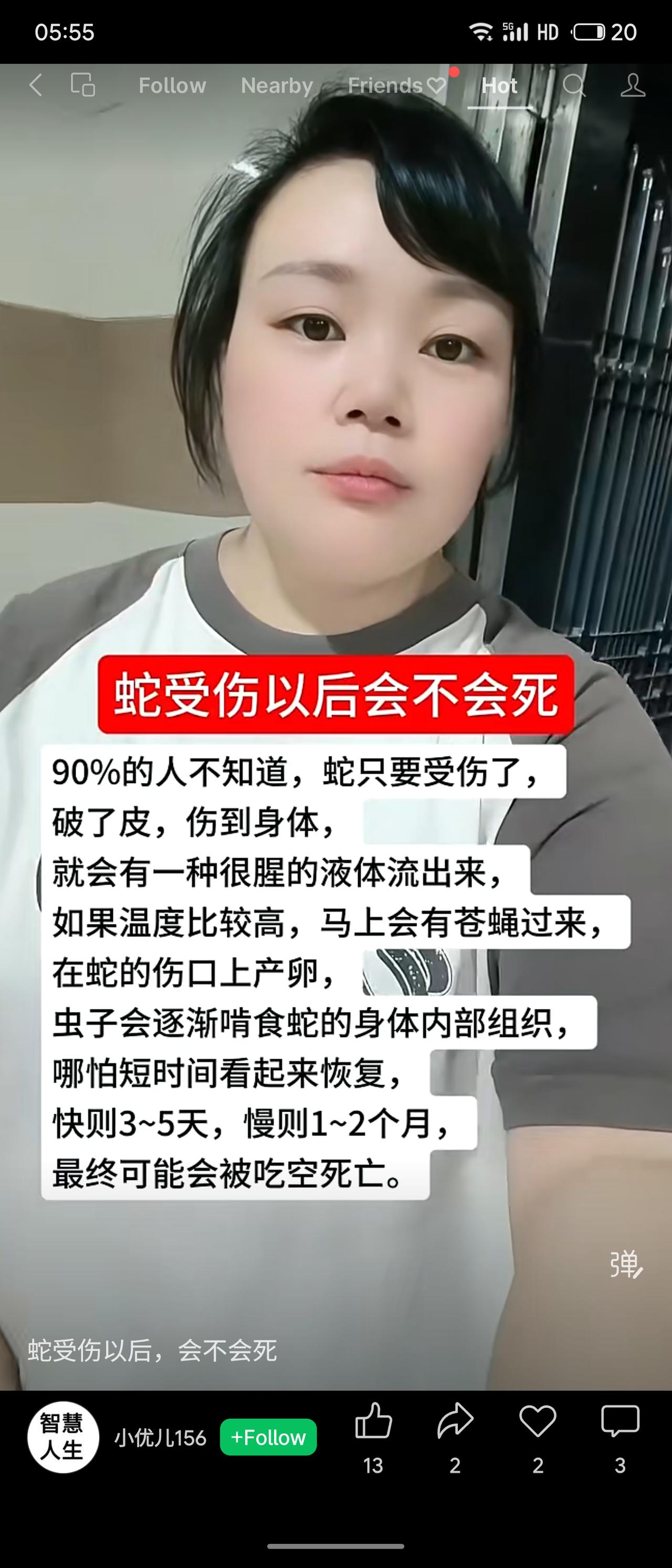 蛇受伤后会流出腥味液体，高温下易吸引苍蝇在伤口产卵，幼虫啃食体内组织，即使表面看