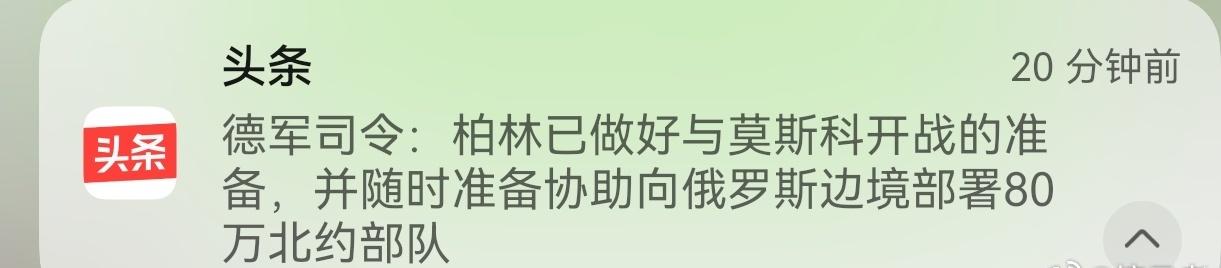 RT：德国联合司令部亚历山大中将表示，柏林已经做好跟莫斯科开战准备，80万北约部