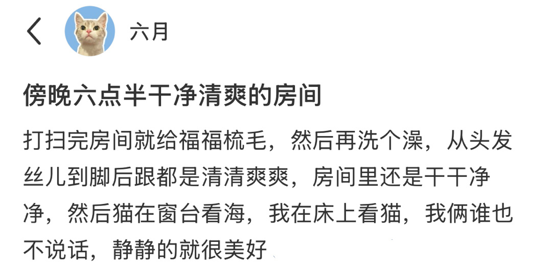 好喜欢这种清爽干净的房间！还有一只小猫咪[抱一抱] ​​​