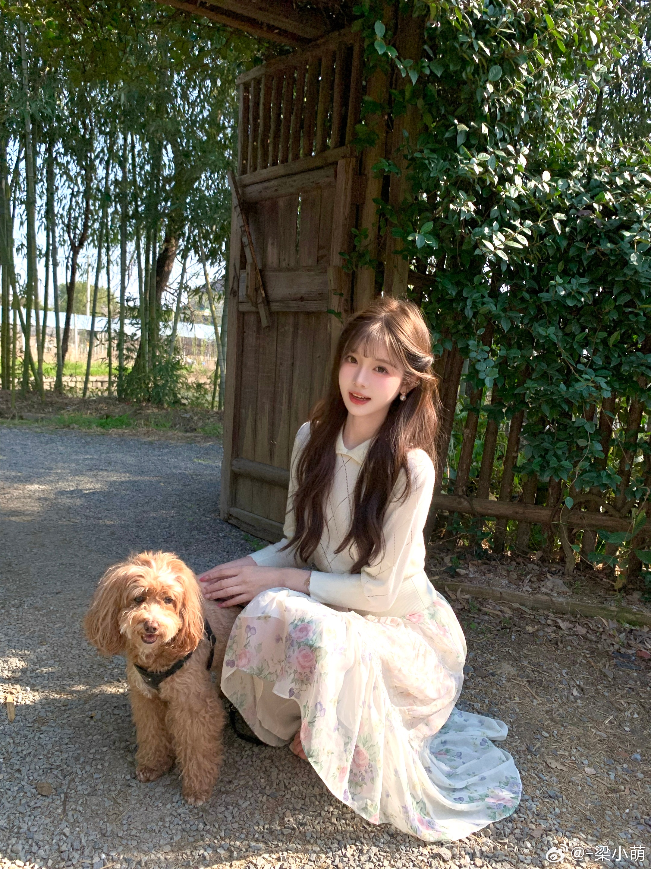 ☀️🐶🫧阳光 小狗 还有我在春天总是会明媚一点…来拍照了﻿ ﻿今天穿什么人像