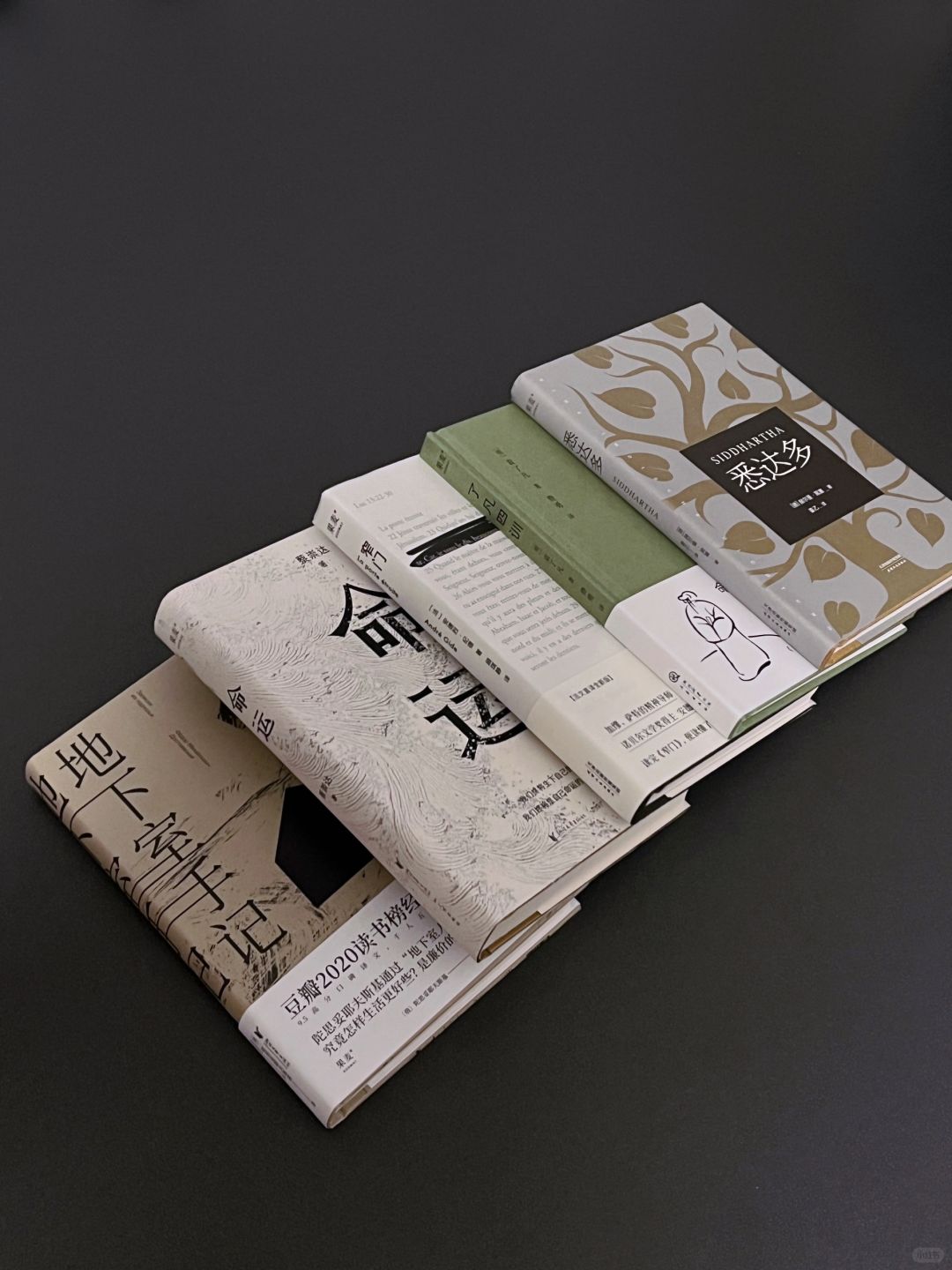 年度书单｜i人的文字救赎解药。