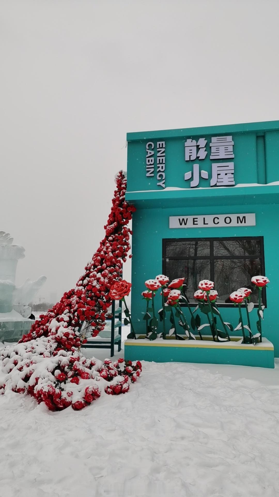 首先祝大家新年快乐！过去一年有开心也有烦恼，好在都挺过来了。新的一年，希望家人都