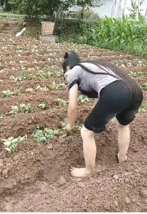 〔生态系统三大成分：生产者、消费者、分解者的关系〕
 一. 生产者：
 ①：主要