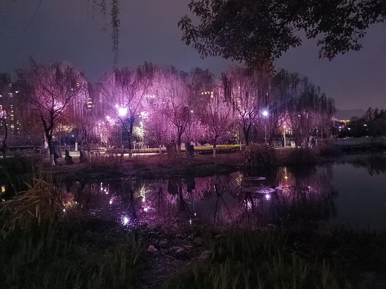 随手一拍祖国大好河山