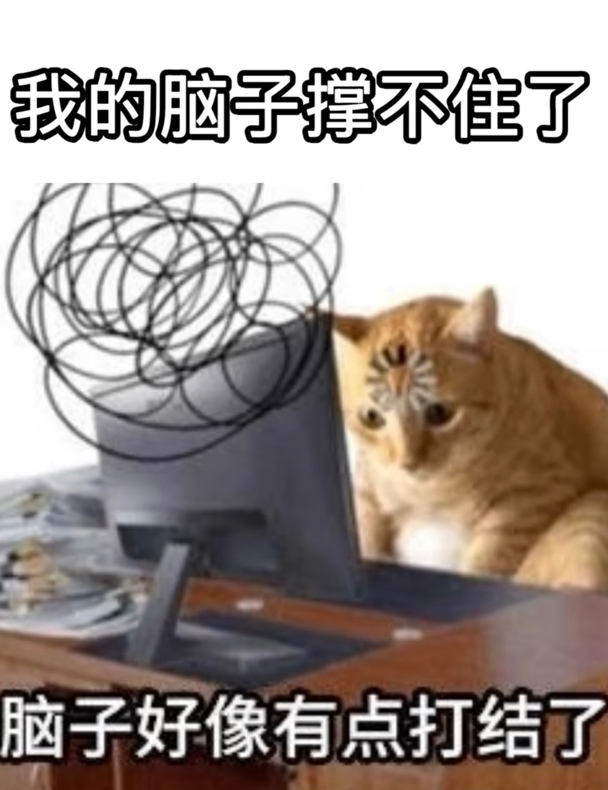 建议大家千万不要再熬夜了昨天一晚没睡原因是前两天晚上9点刚吃完饭突然困到不行有网
