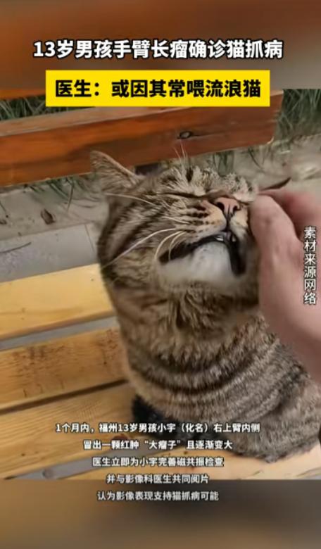 “悲剧还是发生了！”福建福州，一13岁男孩多次对流浪猫进行投喂，结果手臂上突然长