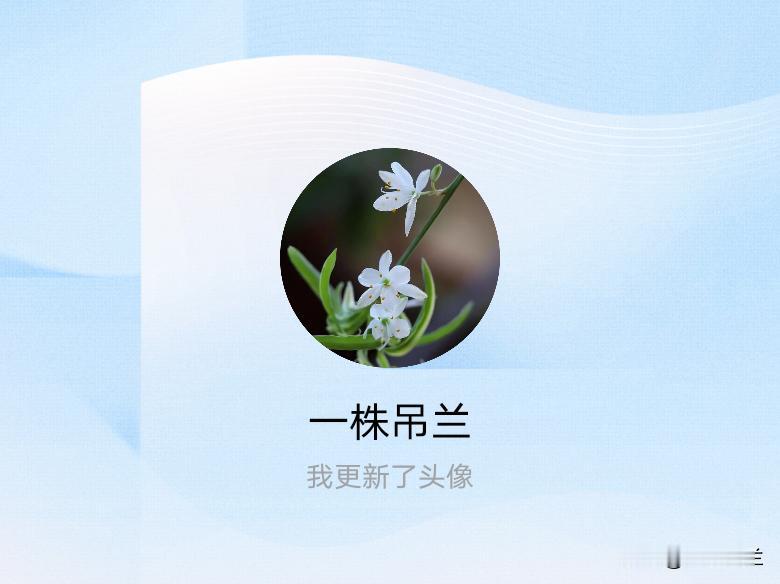 快来看看我新换的头像吧