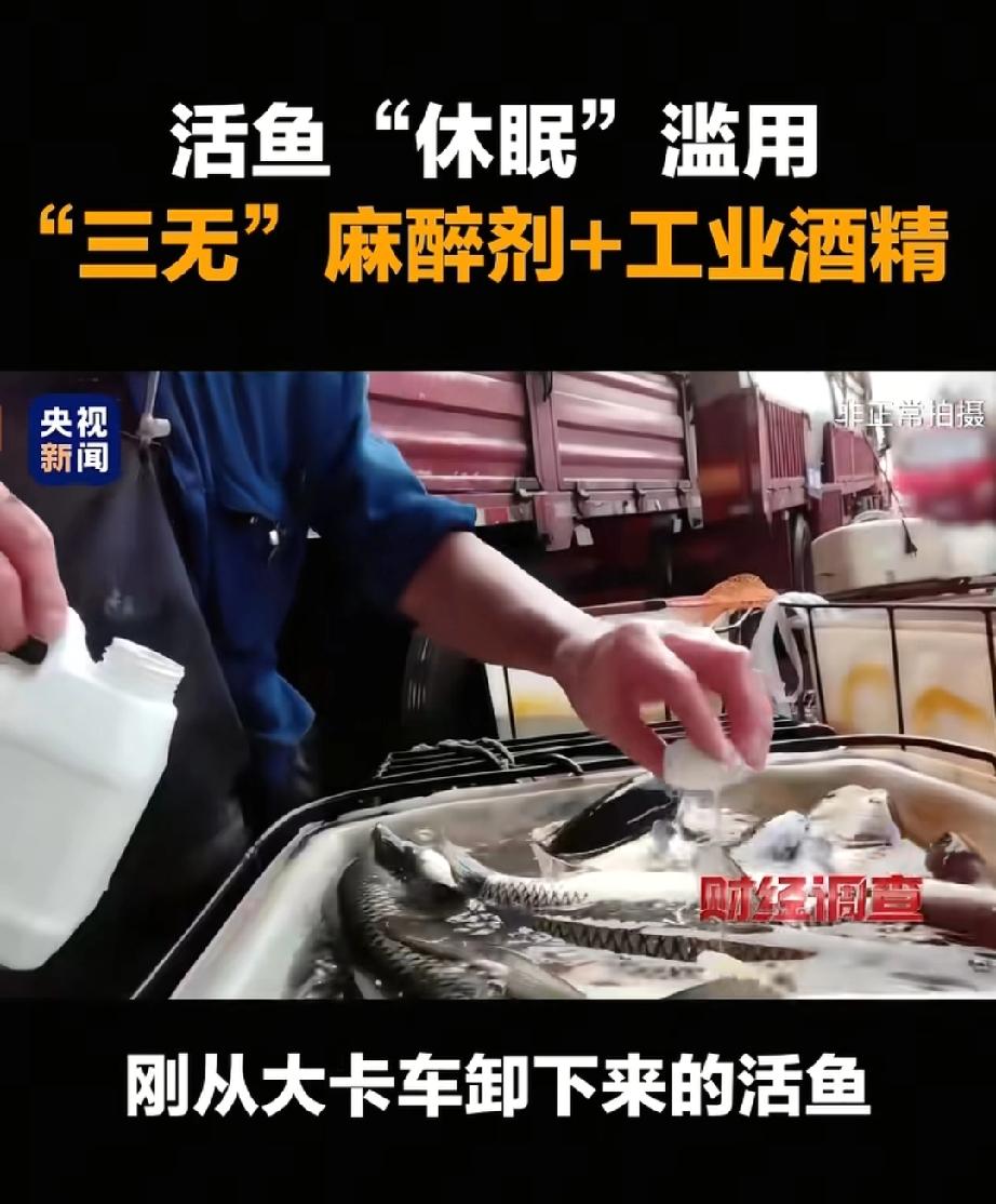 央视曝光的新闻你看了吗？爱吃鱼的人，天都塌了！
 
你知道不，现在有些鱼看着活蹦