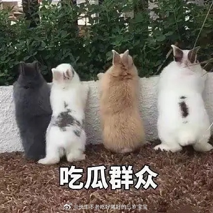 王鹤棣 谈了十年棣欣引力天塌了再也磕不动了 ​​​