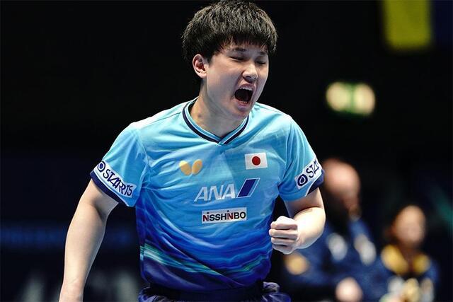 张本智和张本智和2026年伦敦世乒赛 男团R32图片📷P1-2：cr. tak