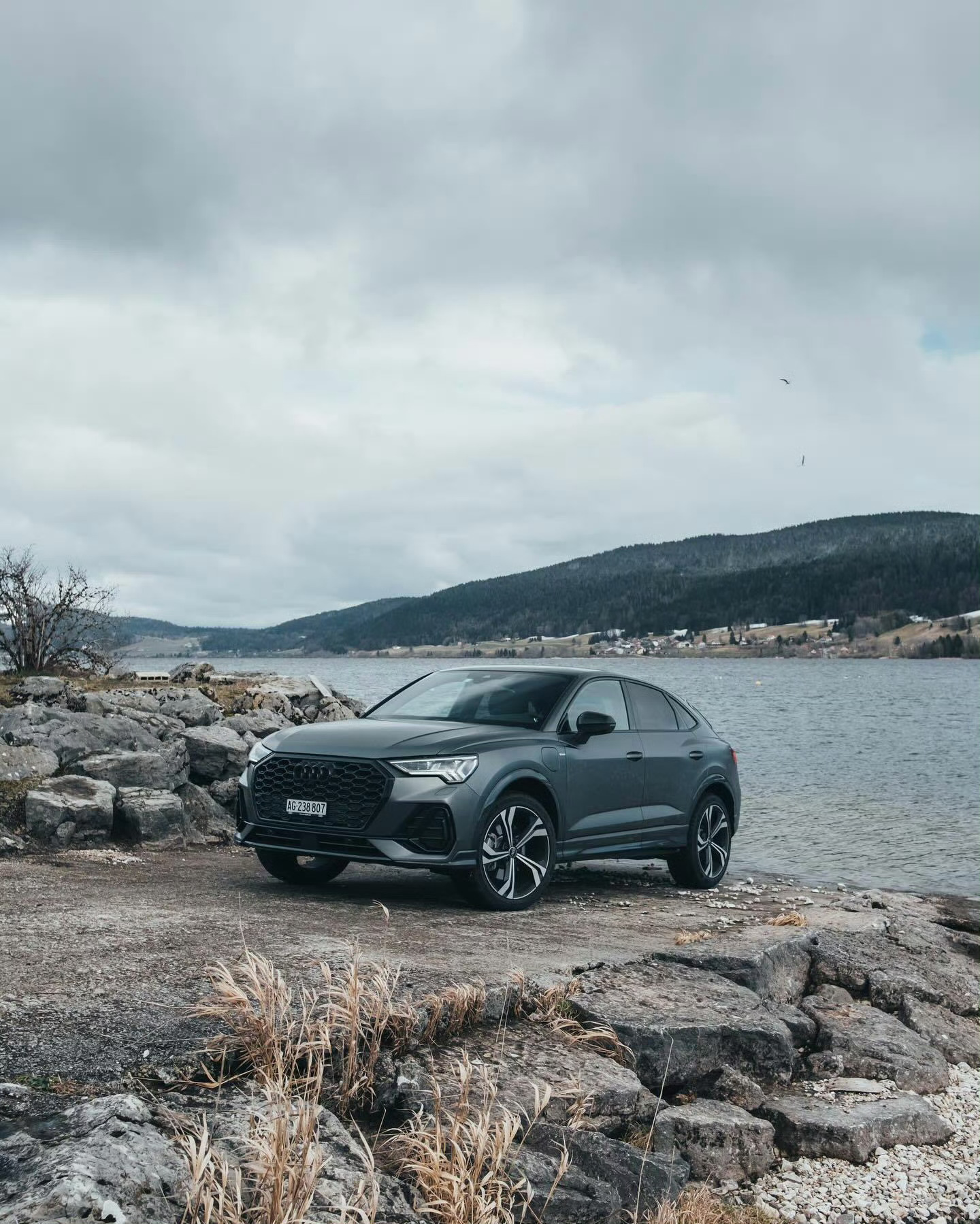 奥迪Q3 Sportback [色][色] 