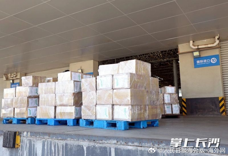 【中非咖啡集散中心项目建设取得关键进展 首批近4吨肯尼亚生豆运抵长沙】近日，一批