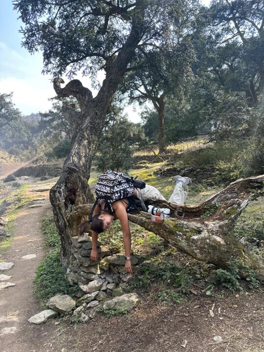 走马岗徒步 太爱爬树了🌳