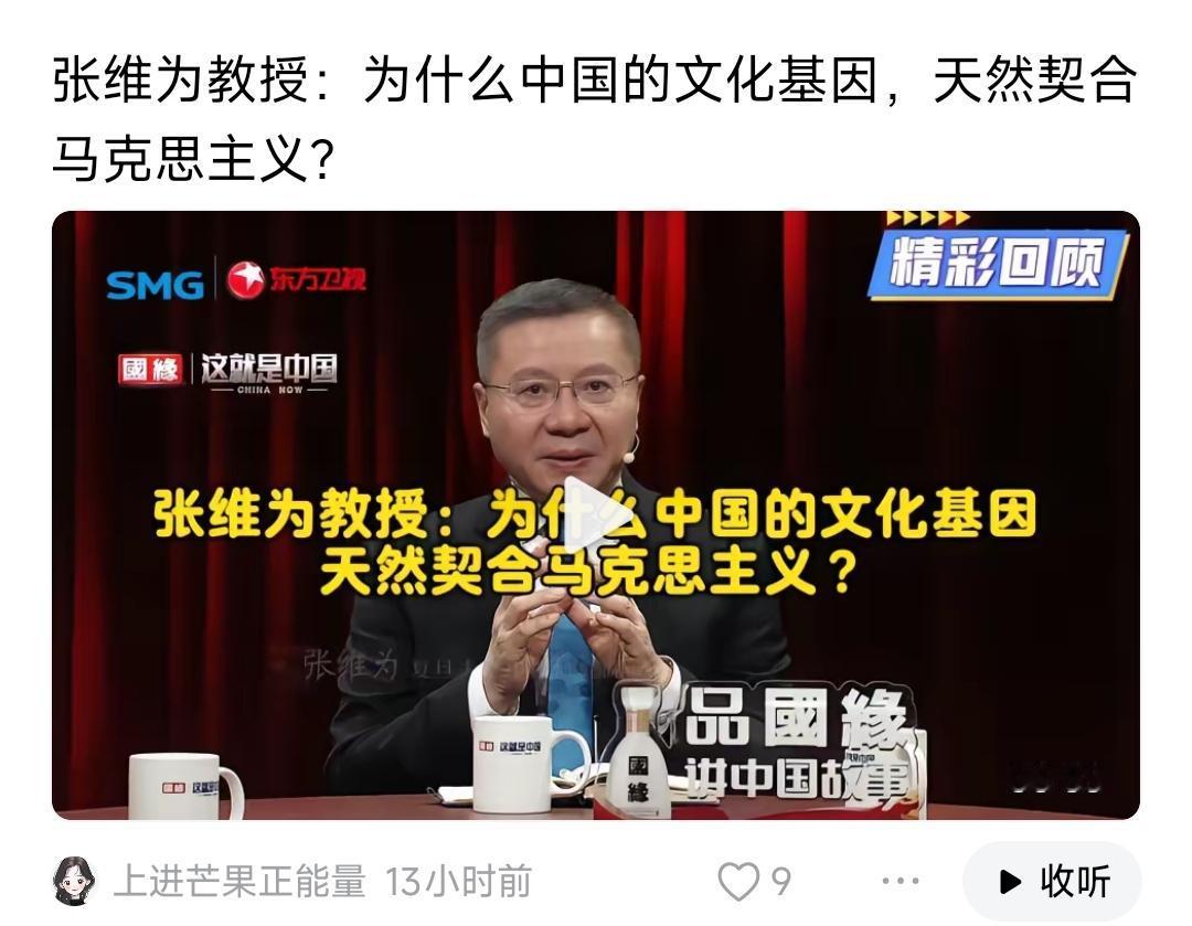 张维为的文化基因也天然契合部分国人的认知和格局！