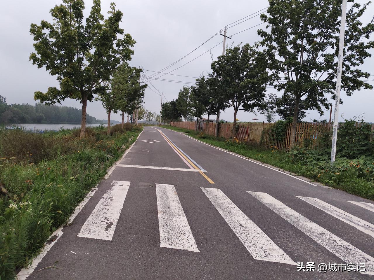 每次回家，都要在我们苏北这种乡间柏油路逛逛，太清爽了，环境不错，空气清新。老家乡