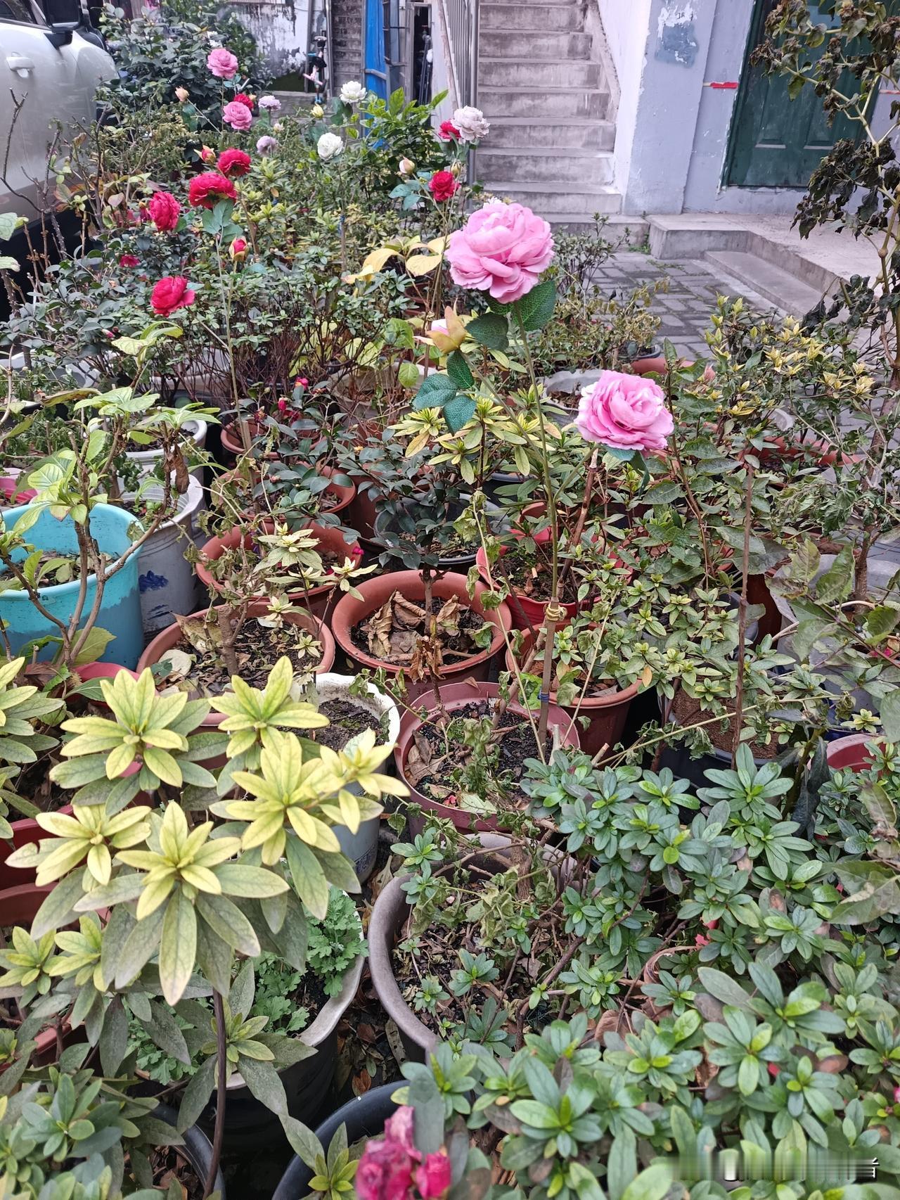 青山水秀风光好
花好月圆人间美