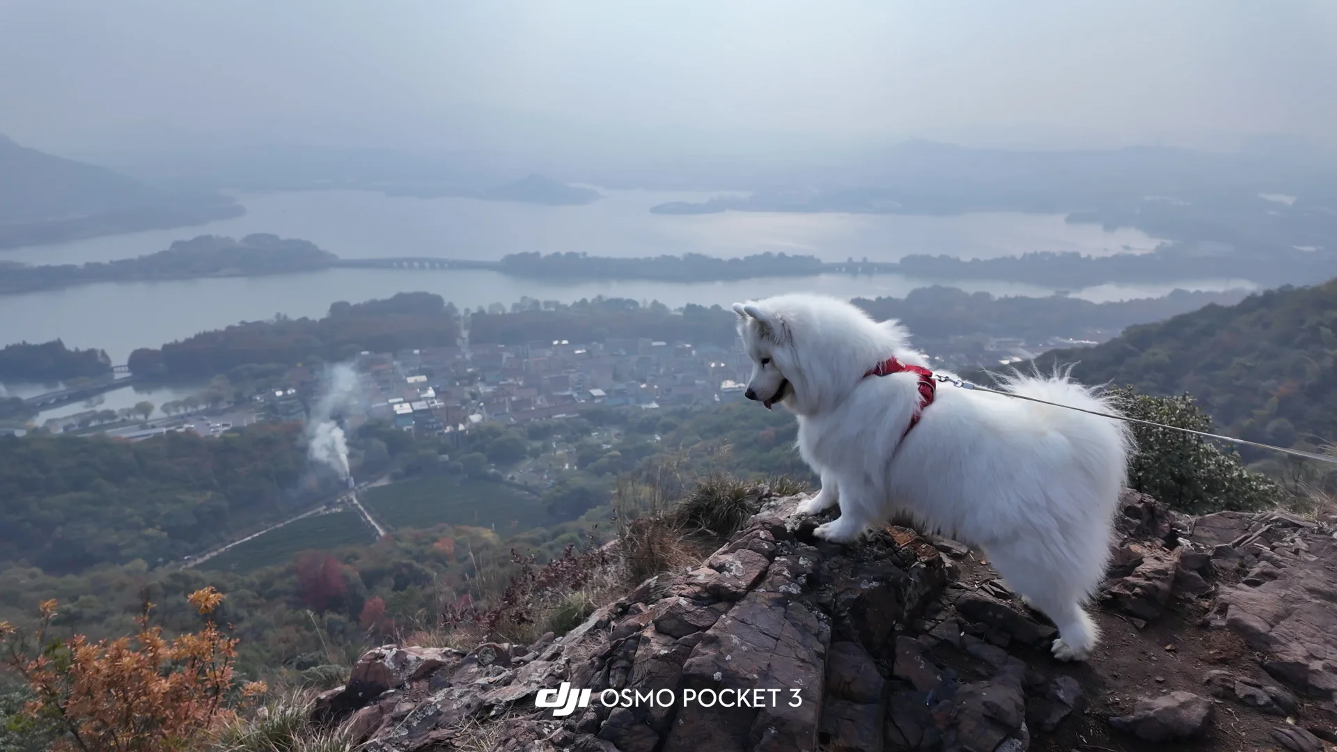 这都是本耶打下的江山